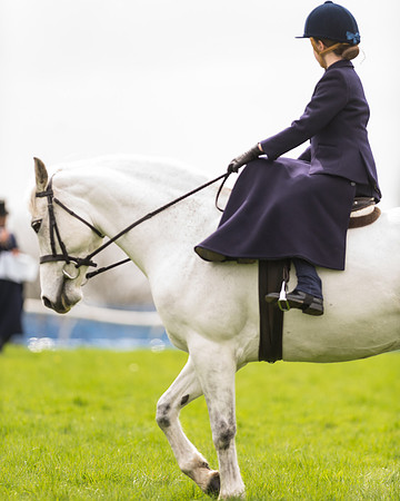 Southdown and Eridge