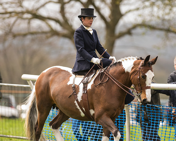 Southdown and Eridge