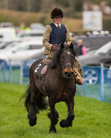 Southdown and Eridge