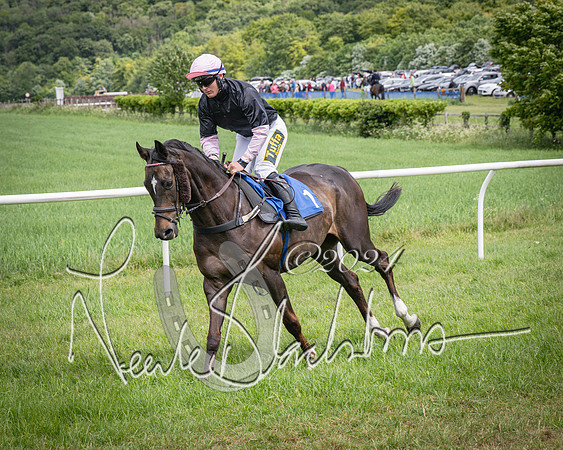 Race 1 - The owner-trainer Conditions race (29 of 118)