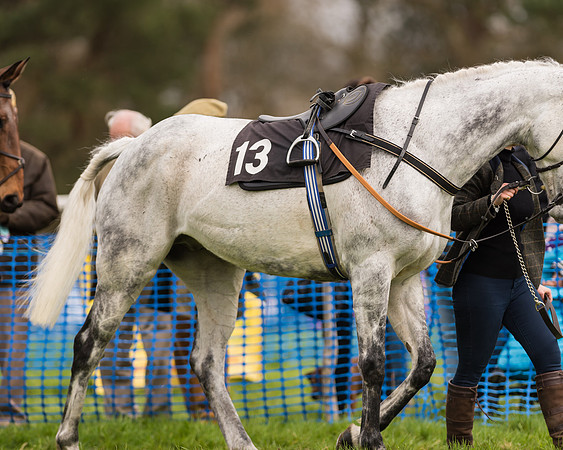 2m4f Conditions Race