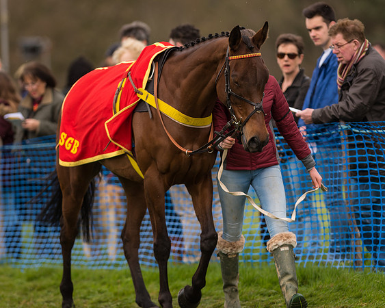 South East Grand National