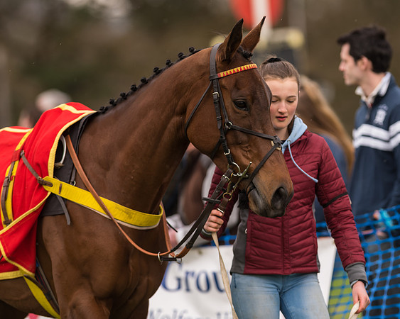 South East Grand National