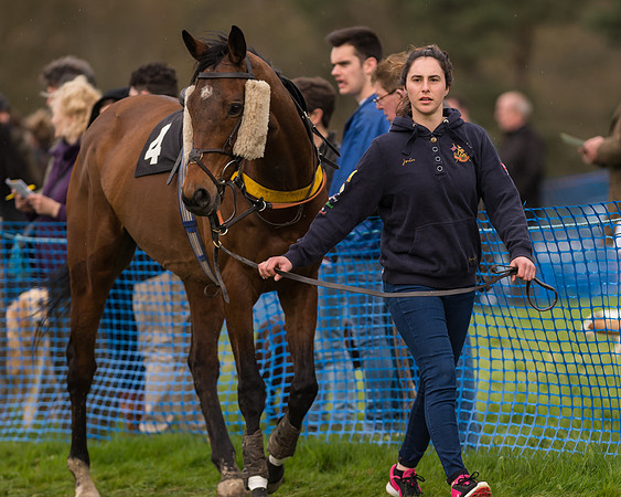 South East Grand National