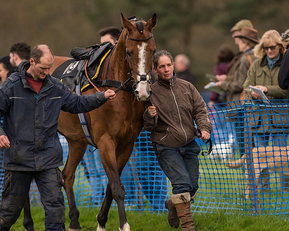 South East Grand National