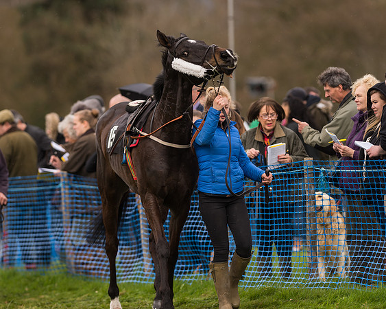 South East Grand National