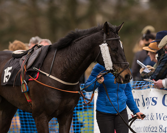 South East Grand National
