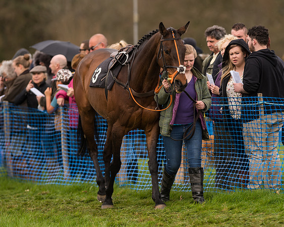 South East Grand National