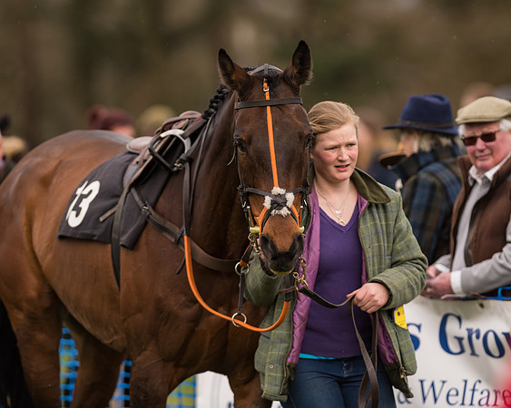 South East Grand National