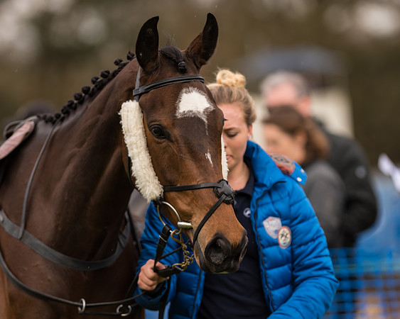 South East Grand National