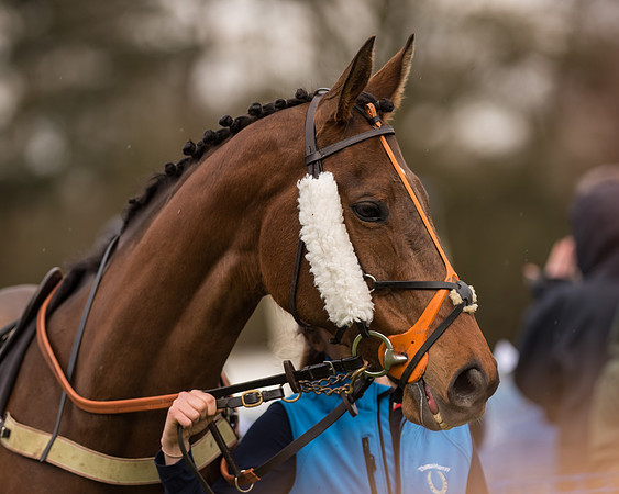 South East Grand National