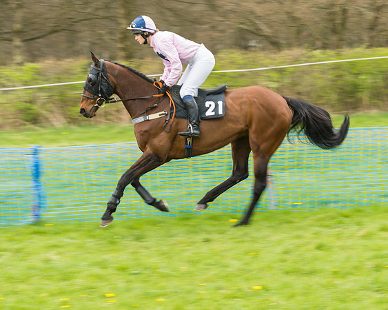 South East Grand National