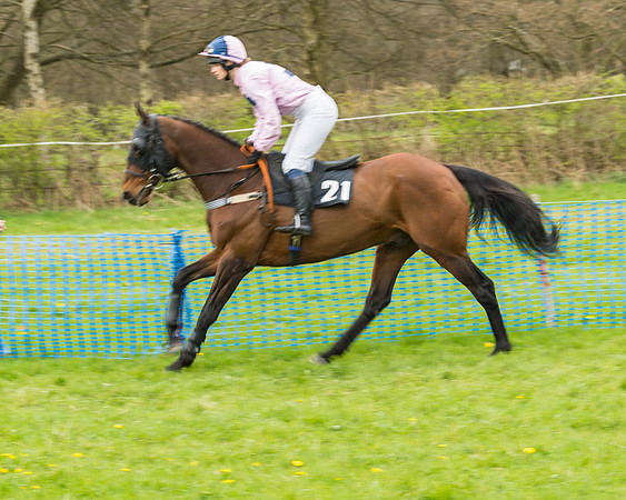 South East Grand National