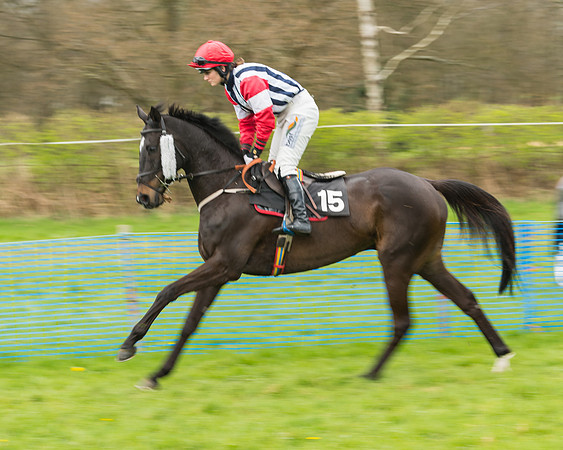 South East Grand National