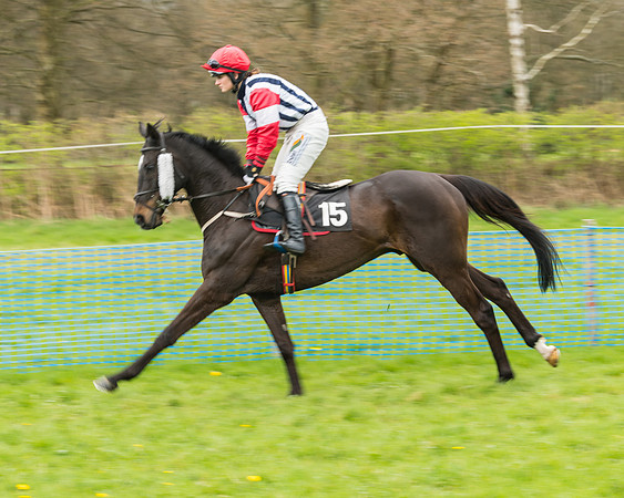South East Grand National