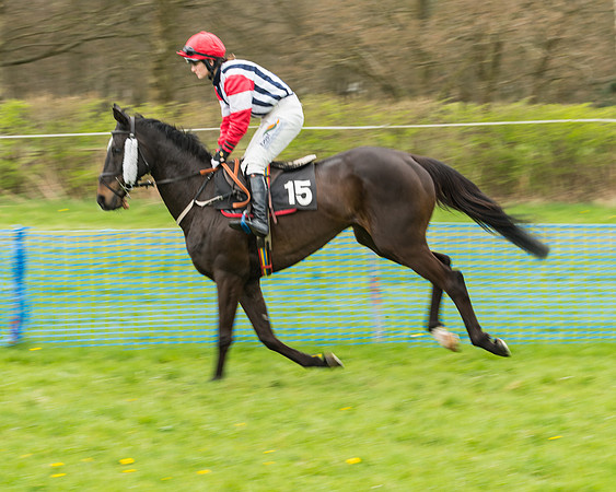South East Grand National