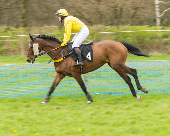 South East Grand National