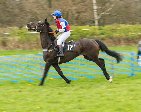 South East Grand National