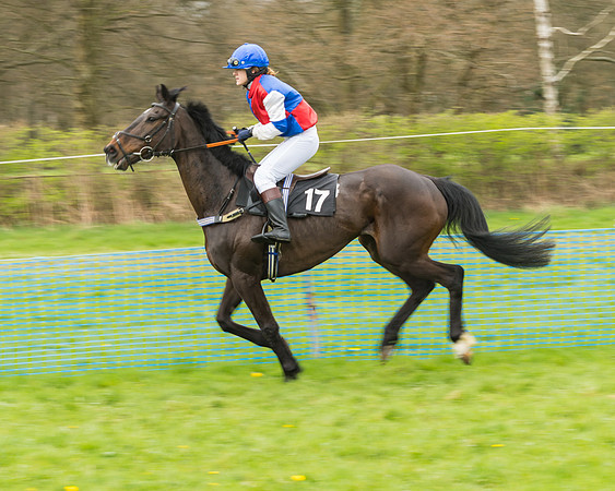 South East Grand National