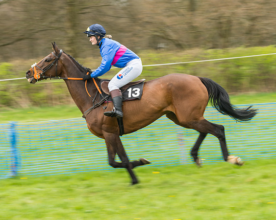 South East Grand National
