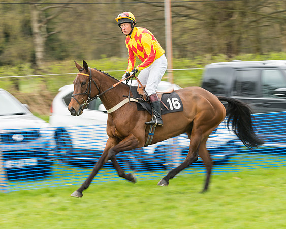 South East Grand National