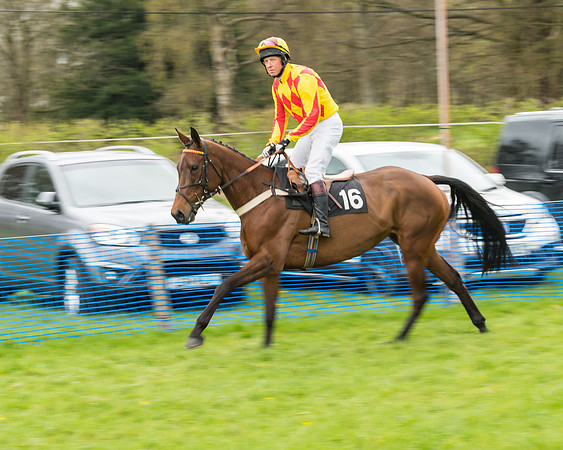 South East Grand National