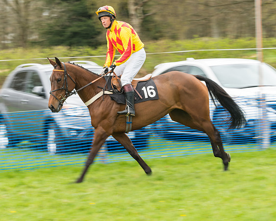 South East Grand National