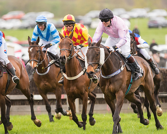 South East Grand National