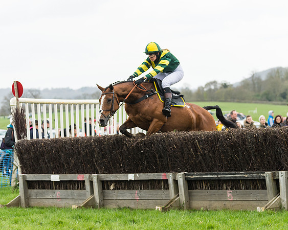 South East Grand National