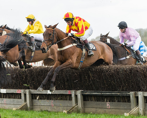 South East Grand National