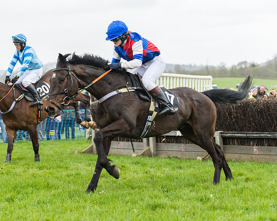 South East Grand National