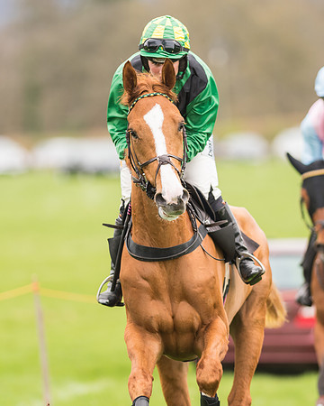 Open Maiden