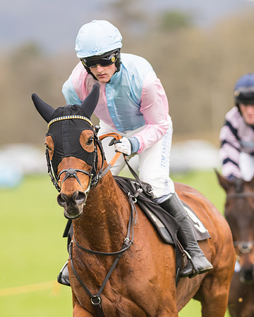 Open Maiden