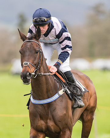 Open Maiden