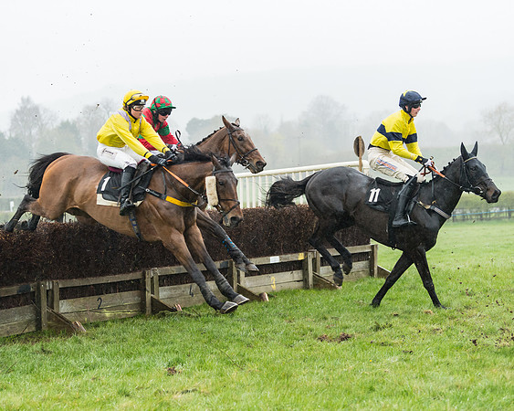 Restricted Race