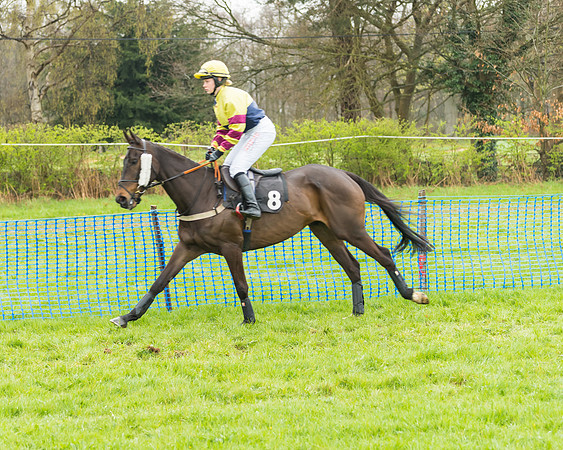 Intermediate Race