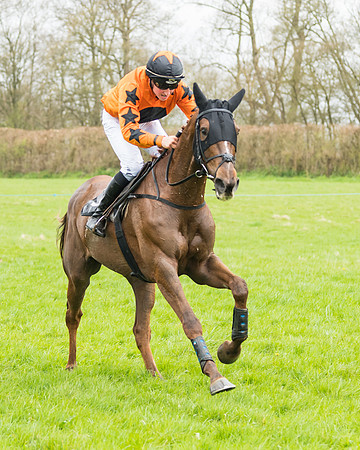 Open Maiden