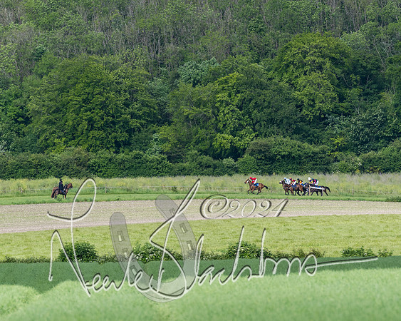 Race 5 - Restricted Race (235 of 434)
