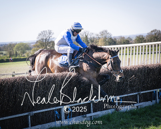 Race 6 - Veteran horse (91 of 109)