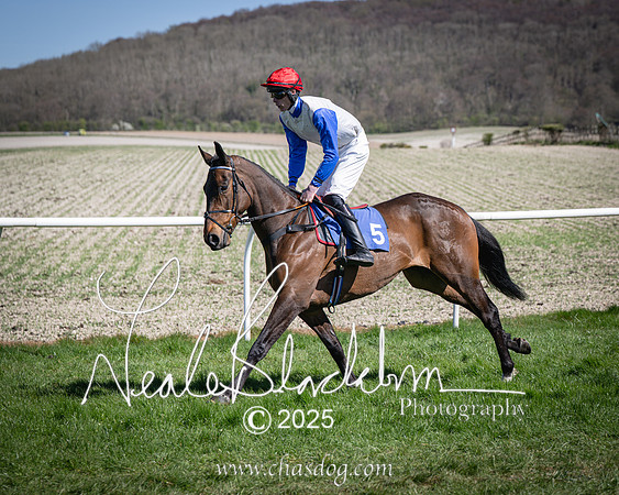 Race 2 - The Maiden (45 of 118)