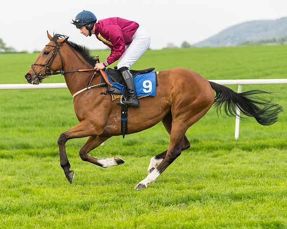 Kimblewick Easter Meeting 2017