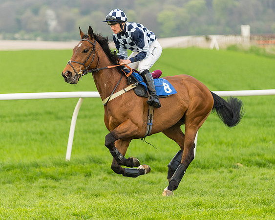 Kimblewick Easter Meeting 2017