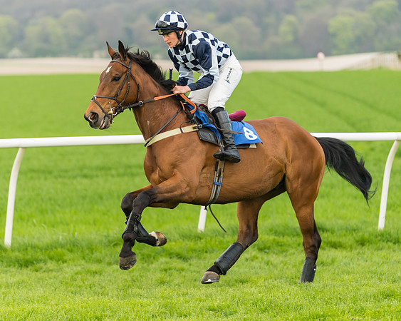 Kimblewick Easter Meeting 2017