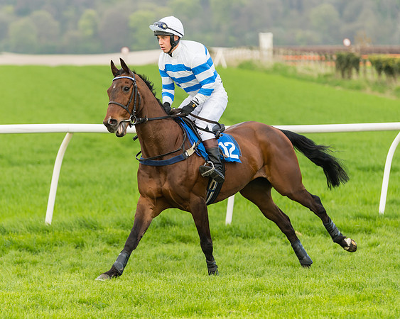 Kimblewick Easter Meeting 2017