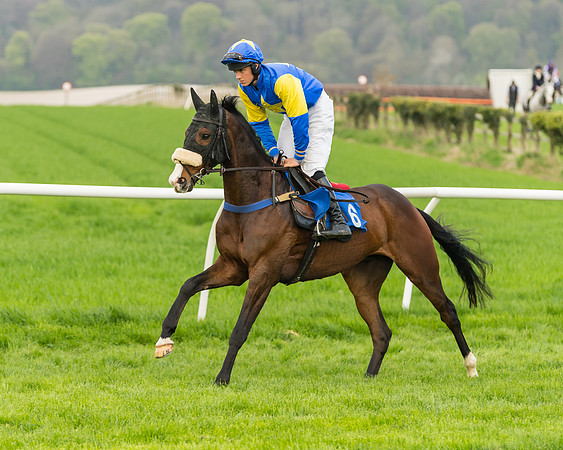 Kimblewick Easter Meeting 2017