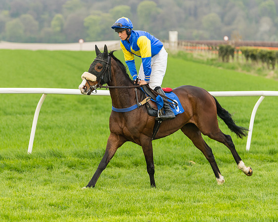 Kimblewick Easter Meeting 2017