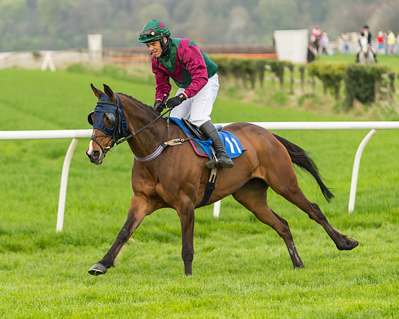 Kimblewick Easter Meeting 2017