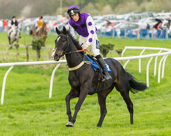 Kimblewick Easter Meeting 2017