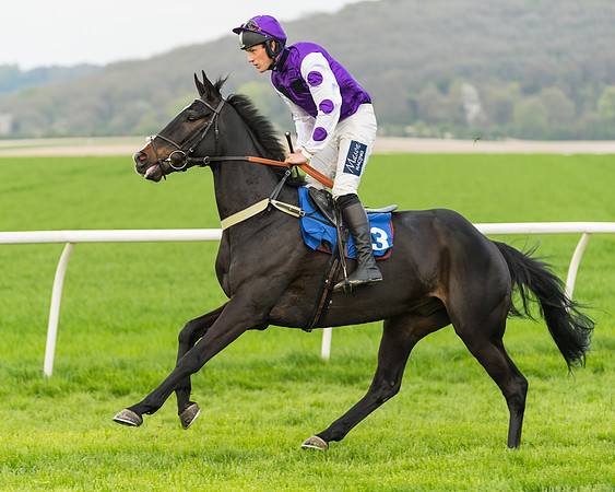 Kimblewick Easter Meeting 2017