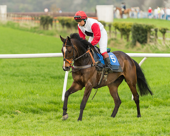 Kimblewick Easter Meeting 2017